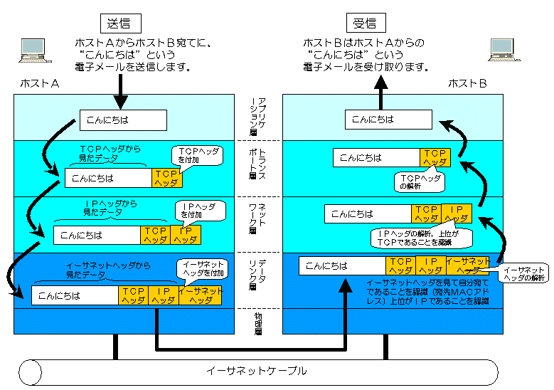 network2-7.gif