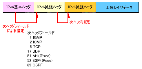 bsci08-02-02.gif